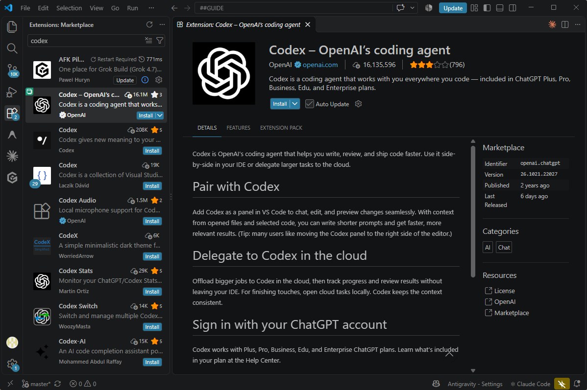 VS Code Codex